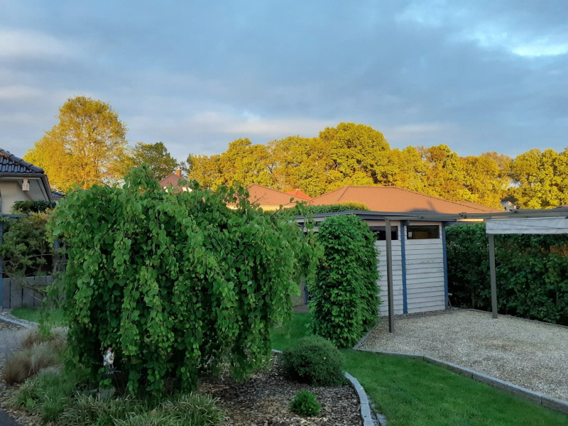 Aussicht hinten Aussicht hinten